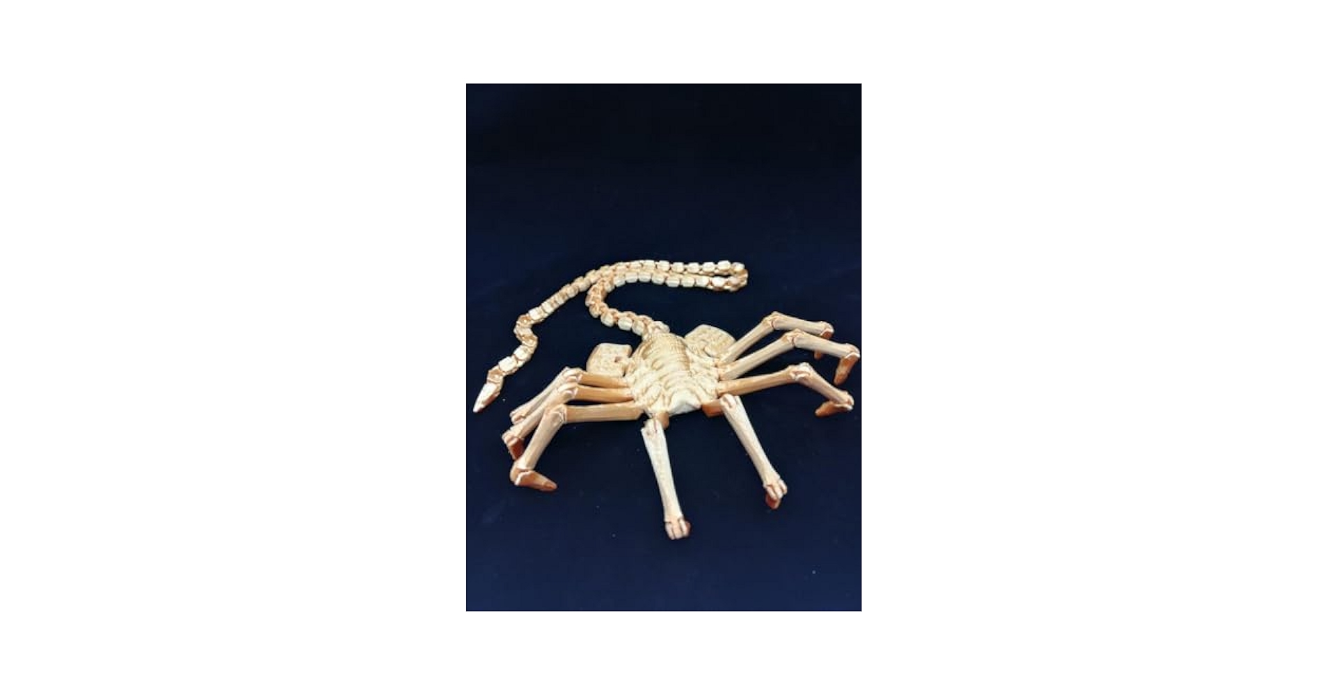 エイリアン フィギュア フェイスハガー ポンコツアンドロイド デスロード Palisades toysのフィギュア『エイリアン フェイスハガー』を